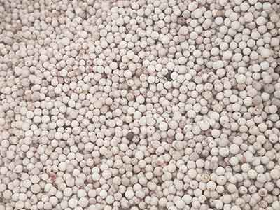 White Pepper Import