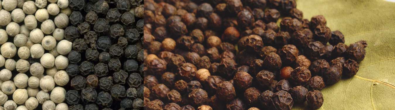 White Pepper, Black Pepper