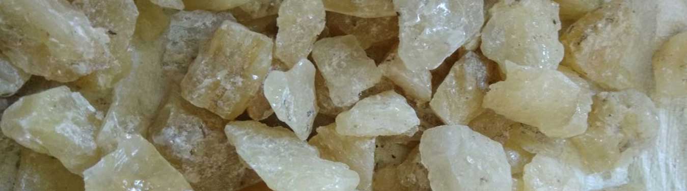 Gum Copal