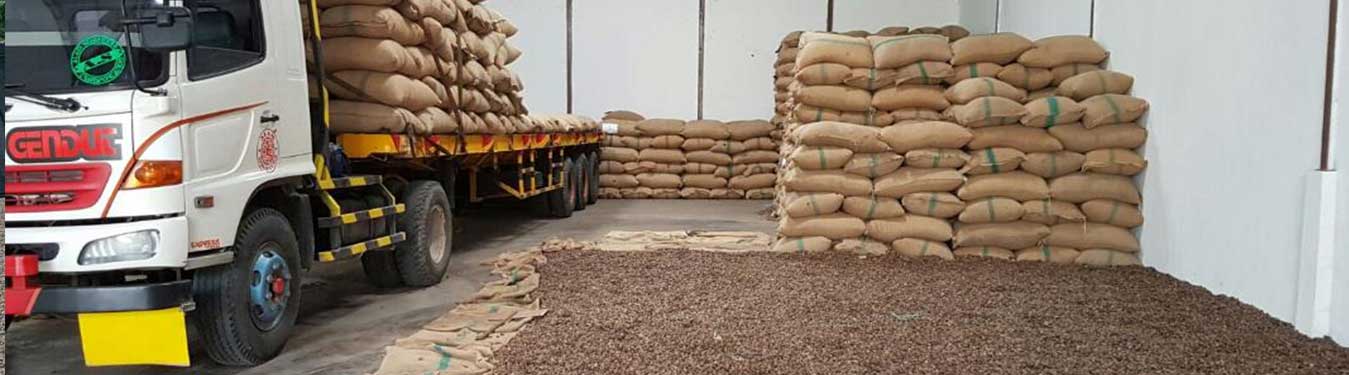 Surabaya Raw Cashew Nut import