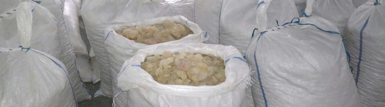 Gum Copal