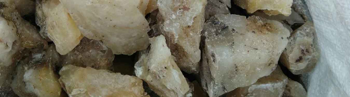 Gum Copal