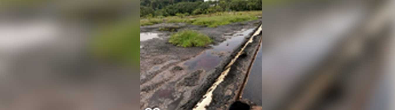 Indonesia Palm Acid Oil