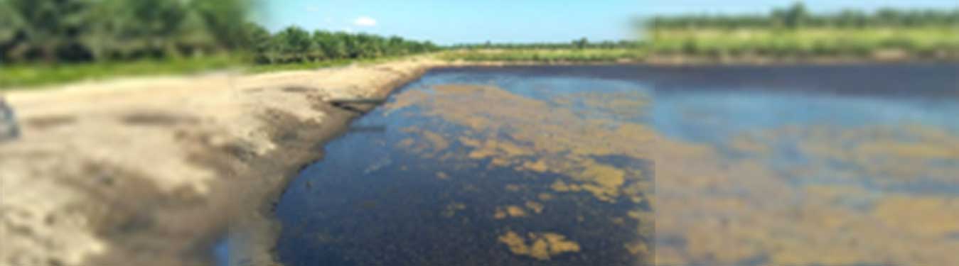 Palm Acid Oil trading Indonesia