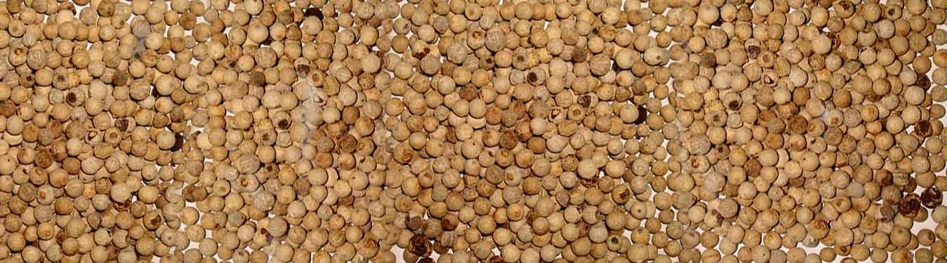 Import White Pepper