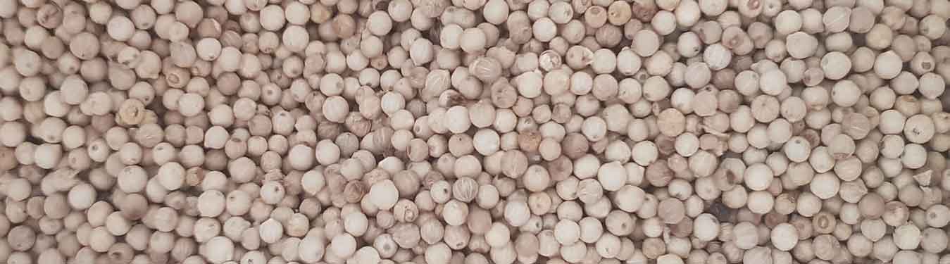 White Pepper Trading